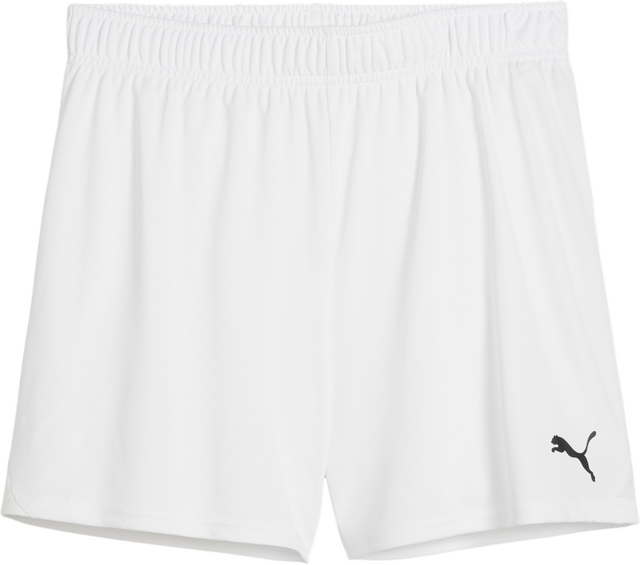 Puma teamGOAL Handball Shorts