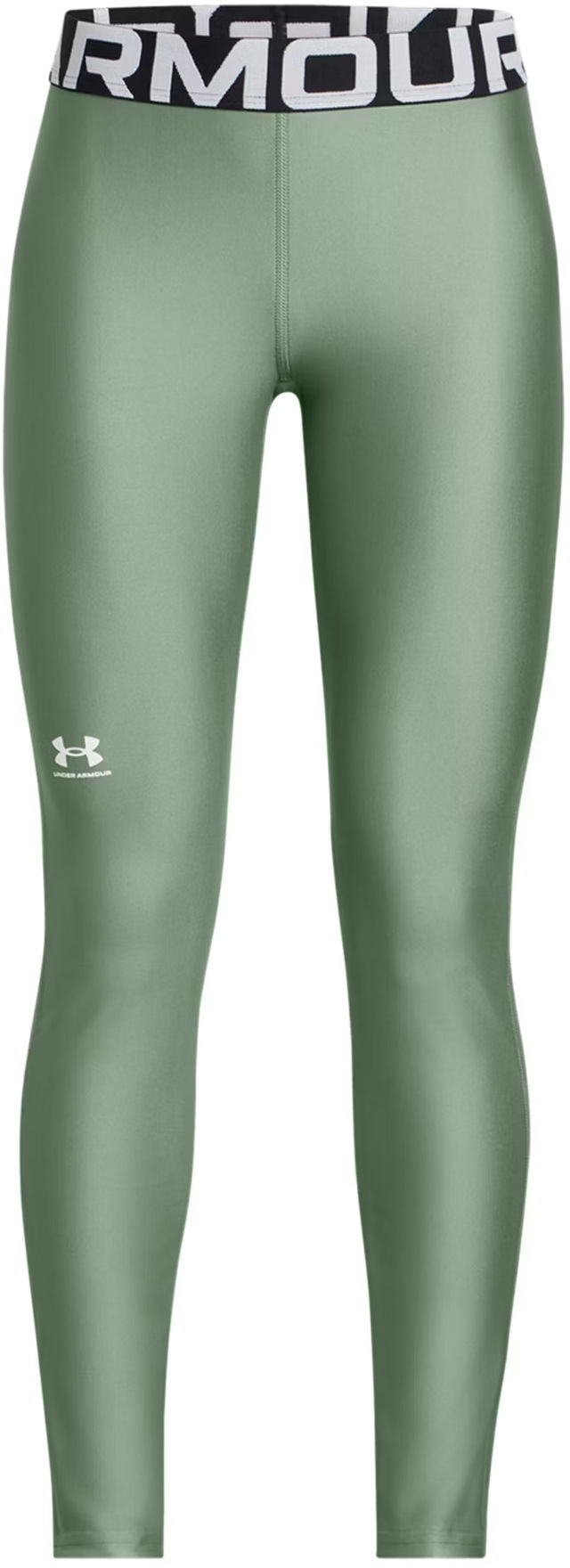 Under Armour HG Leggings