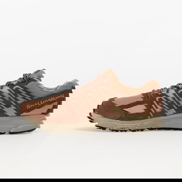 Кецове и обувки Salomon X-Mission 4 Кафяво | 417482, 0