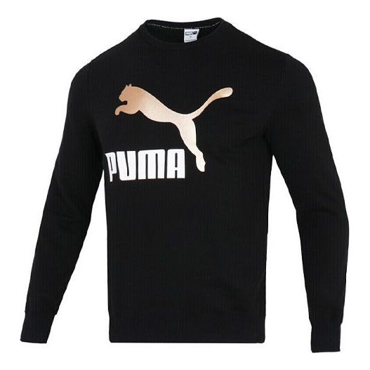 Пуловер Puma PUMA Bronzing Logo Pullover Черно | 535278-01, 0