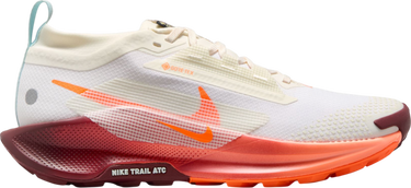 Кецове и обувки Nike Pegasus Trail 5 GORE-TEX Бяло | fq0912-104, 0