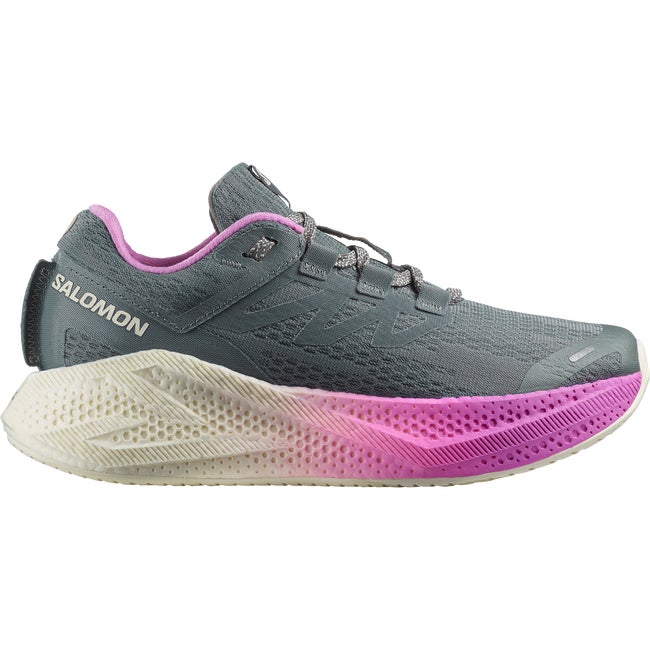 Кецове и обувки Salomon Aero Glide 3 Многоцветен | L47975800
