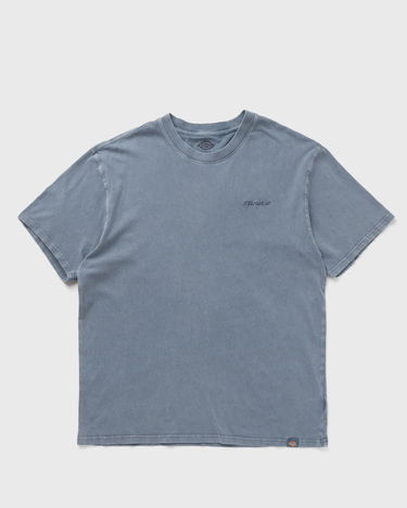 Тениска Dickies Plentywood T-Shirt Синьо | DK0A866BG701, 1