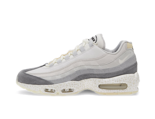 Кецове и обувки Nike Air Max 95 QS Сиво | DV2593-100