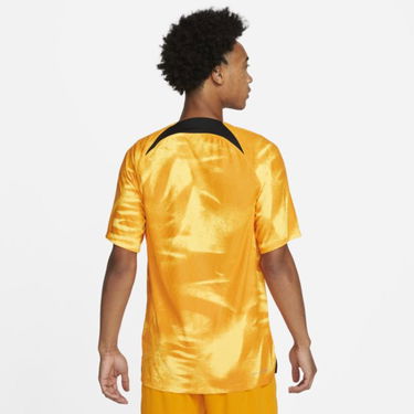 Фланелка Nike Netherlands 2022/23 Match Home Dri-FIT ADV Football Shirt Оранжево
 | DN0629-845, 2