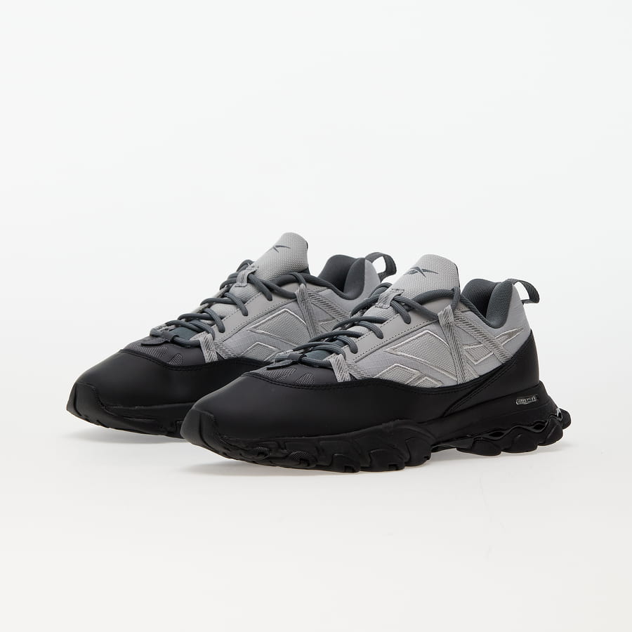 Кецове и обувки Reebok DMX Trail Shadow Сиво | GY1924, 1