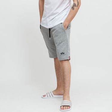 Къси панталони Alpha Industries Big Letters Shorts Сиво | 126344-17, 1