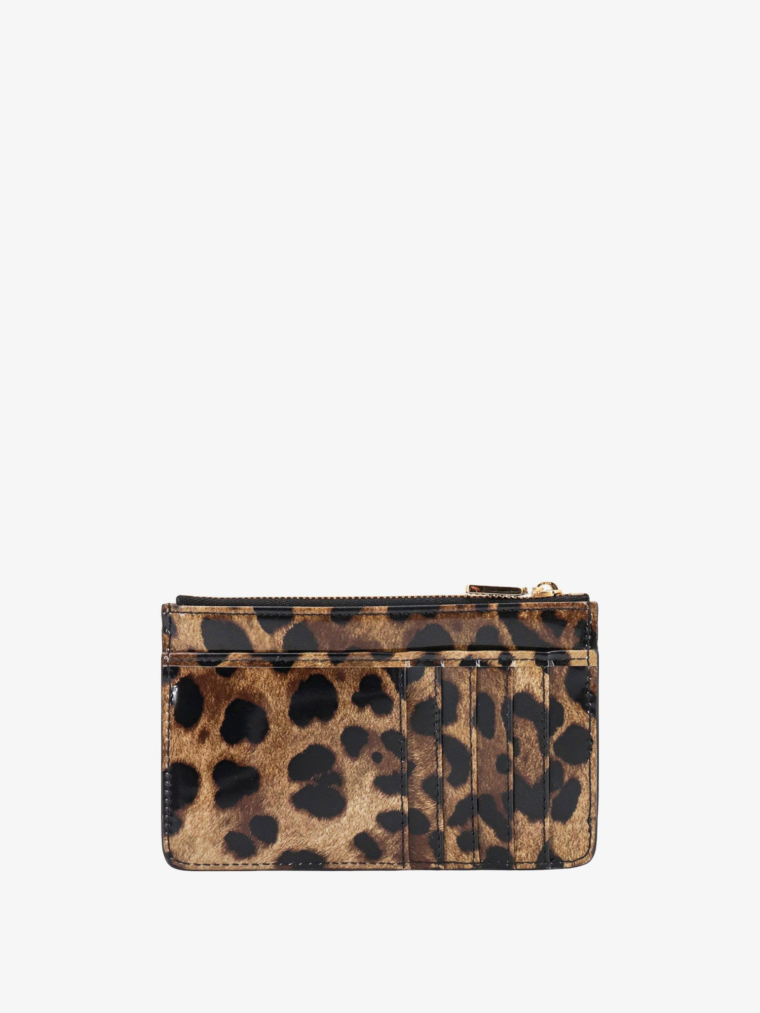 Портфейл Dolce & Gabbana CARD HOLDER Кафяво | BI1261AM568HA93M, 1