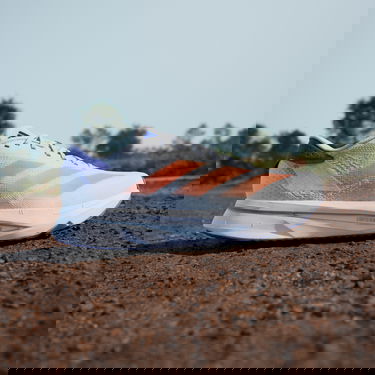 Кецове и обувки adidas Performance ADIZERO SL 2 Бяло | ih8194, 5
