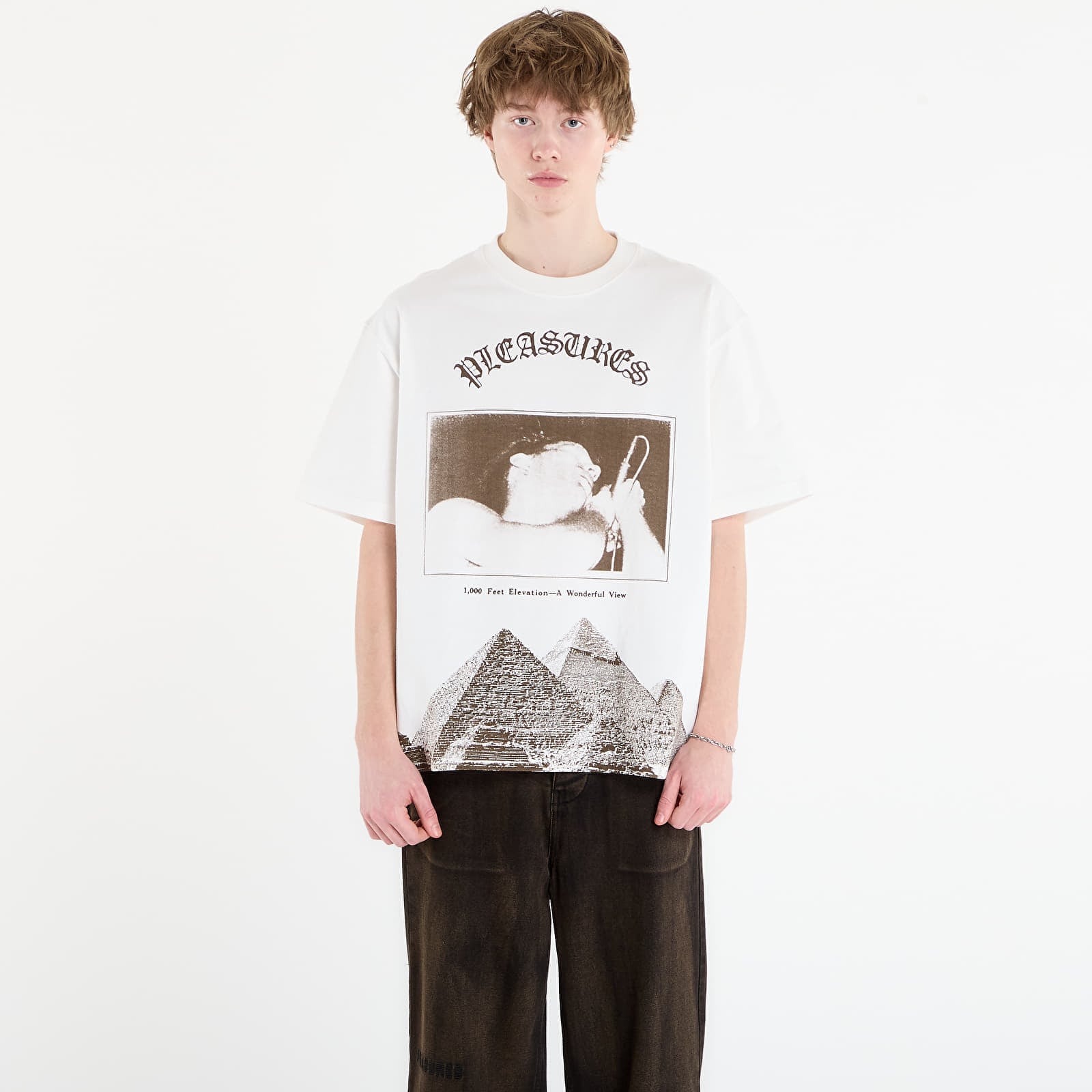 Pleasures product image