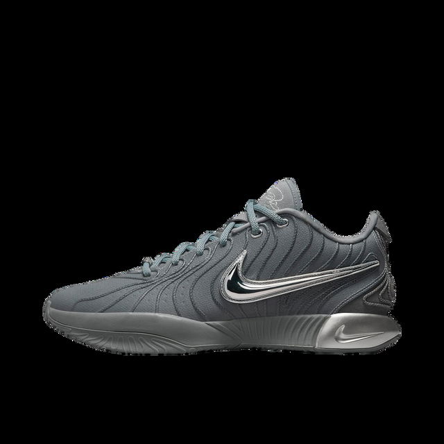 LeBron 21 Cool Grey