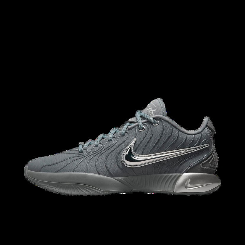 Баскетбол Nike LeBron 21 Cool Grey Сиво | HF5353-001