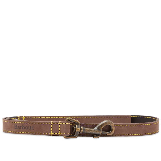 Brown Leather Dog Lead With Brass Hardware