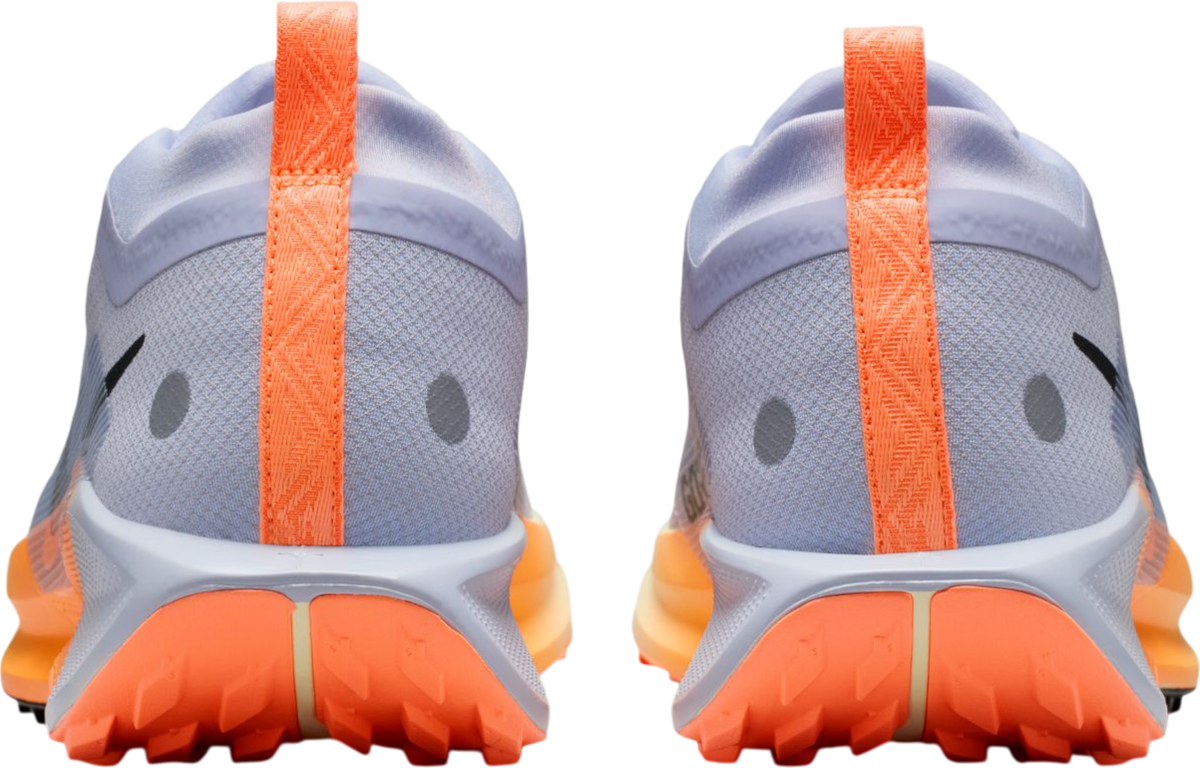 Кецове и обувки Nike Pegasus Trail 5 GORE-TEX Многоцветен | fq0908-011, 1