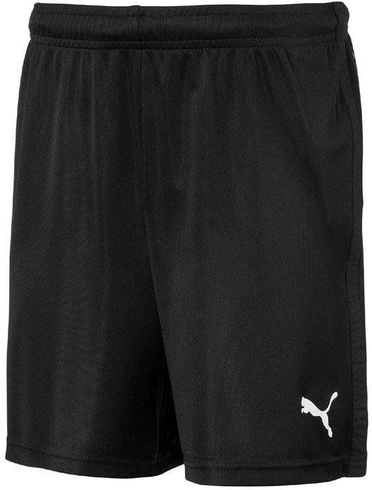 Puma Liga Training Core Shorts