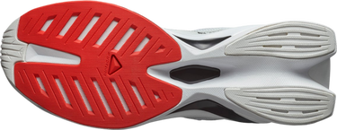 Кецове и обувки Salomon S/LAB SPECTUR Бяло | l47376000, 1