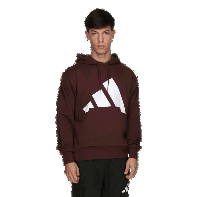 Men's Hoodie