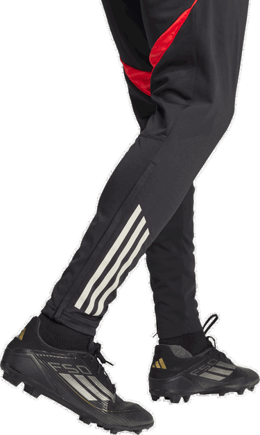 Спортни панталони adidas Performance Benfica Tiro 25 Competition Training Pants Черно | JM1216, 3