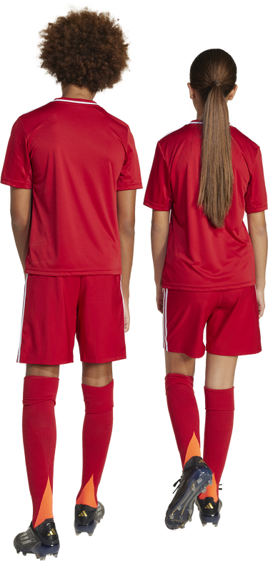 Къси панталони adidas Originals adidas TASTIGO25 Shorts Червено | jn7172, 7