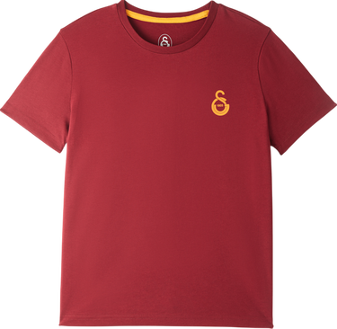 Тениска Puma Galatasaray Istanbul Logo T-Shirt Бургунди | e251047-100, 0