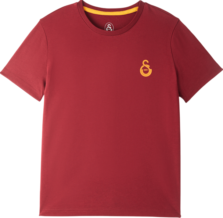 Тениска Puma Galatasaray Istanbul Logo T-Shirt Бургунди | e251047-100