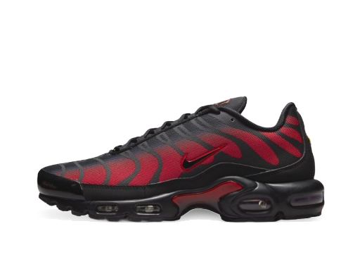 Кецове и обувки Nike Air Max Plus Червено | DZ4507-600