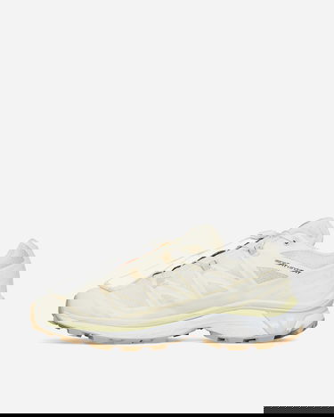 Кецове и обувки Salomon XT-6 Бежово | L41751800, 4