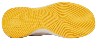 Кецове и обувки Under Armour CURRY Splash 25 Многоцветен | 3028459-004, 4