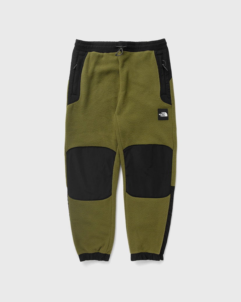 Панталони The North Face M FLEESKI Y2K PANT Зелено | NF0A879MPIB1