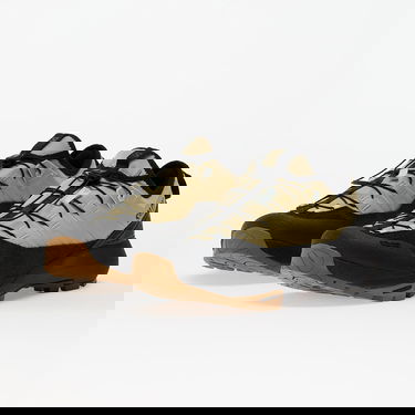 Кецове и обувки Salomon ALPINWAY ADVANCED Paleol/ Black/ Ice Бежово | L47859600, 5