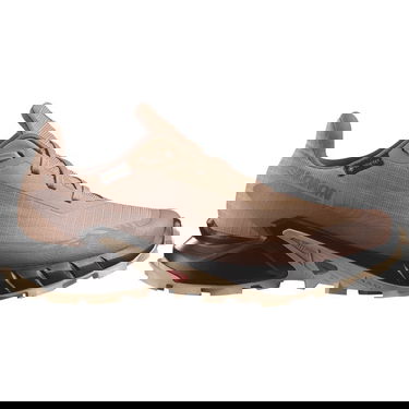 Кецове и обувки Salomon Alphacross 5 Gore-Tex Бежово | L47595100, 1