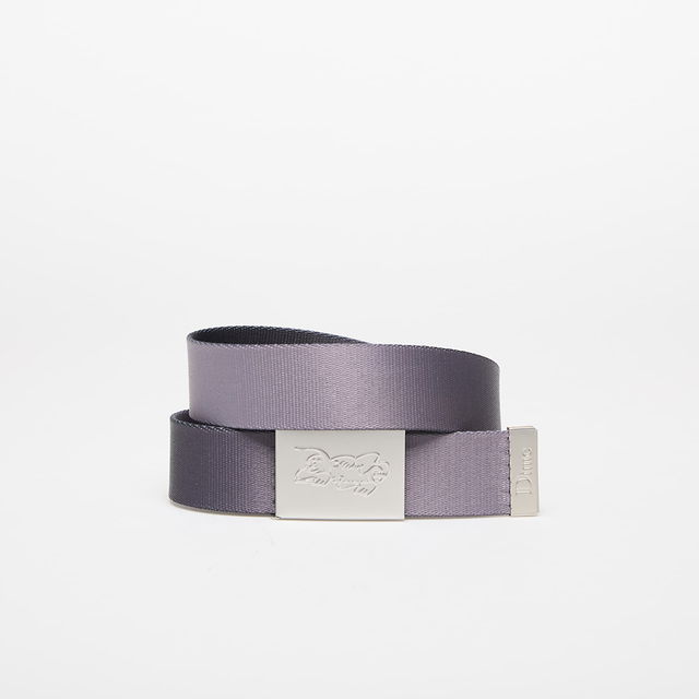 Gradient Web Belt