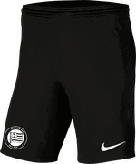 Sturm Graz Shorts