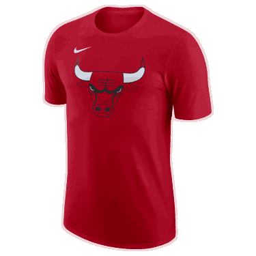 Тениска Nike NBA Chicago Bulls Essential Червено | FJ0231-657, 0