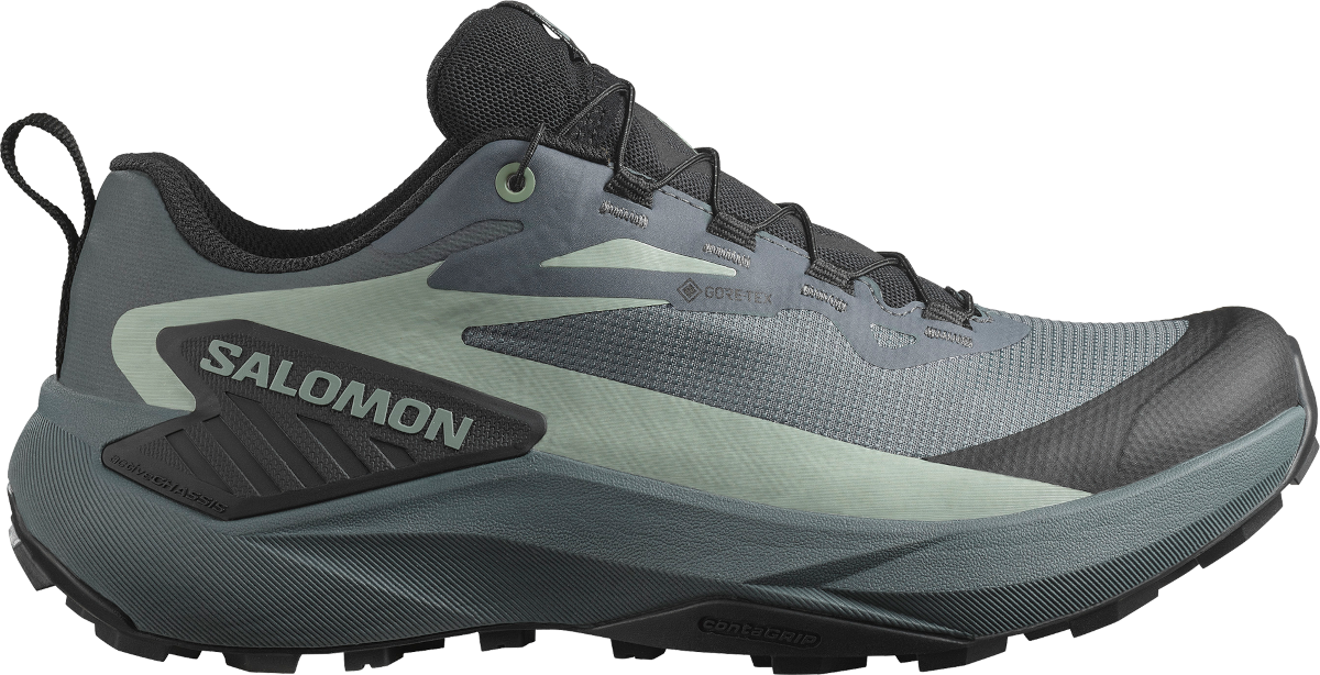 Кецове и обувки Salomon Salomon GENESIS GTX Сиво | l47589000, 0