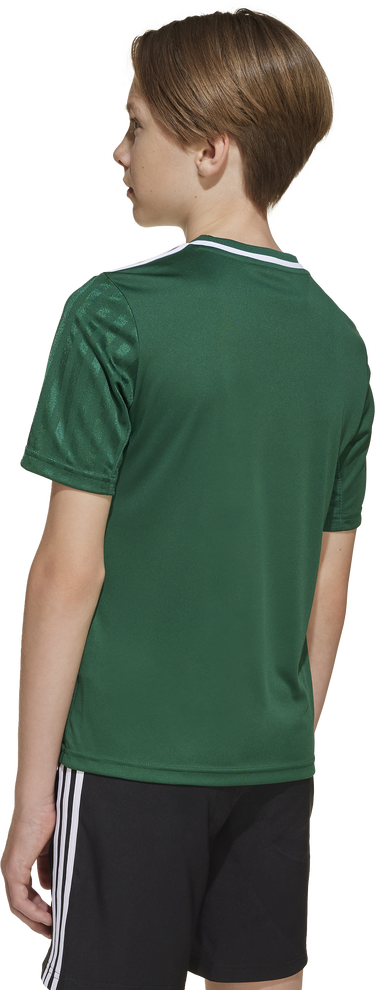 Фланелка adidas Originals Adidas Campeon 25 Jersey Зелено | jj4167, 6