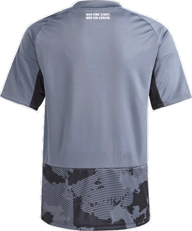 Фланелка adidas Originals Eintracht Frankfurt 3rd Jersey 2025/26 Сиво | kk6443, 1
