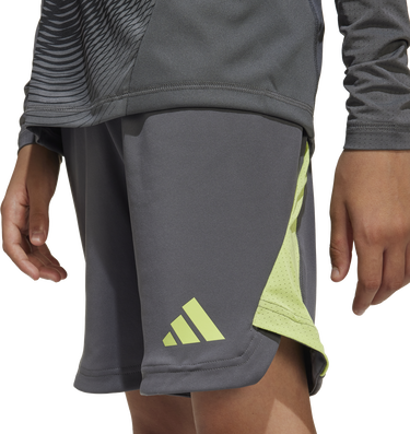 Къси панталони adidas Originals Tiro 25 Pro Goalkeeper Shorts Сиво | jn2025, 2