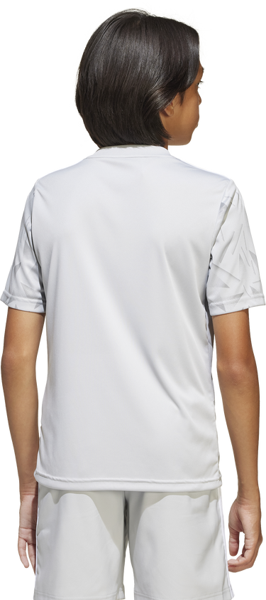 Тениска adidas Originals Adidas Team Icon25 Jersey Сиво | jn6984, 6