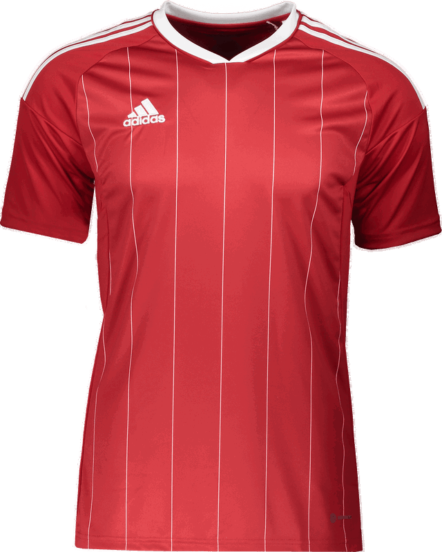 Custom Striped T-Shirt