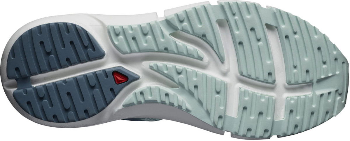 Кецове и обувки Salomon Běžecké boty Salomon PREDICT2 W Синьо | l41125800, 1