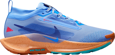Кецове и обувки Nike Pegasus Trail 5 GORE-TEX Синьо | fq0912-401, 0