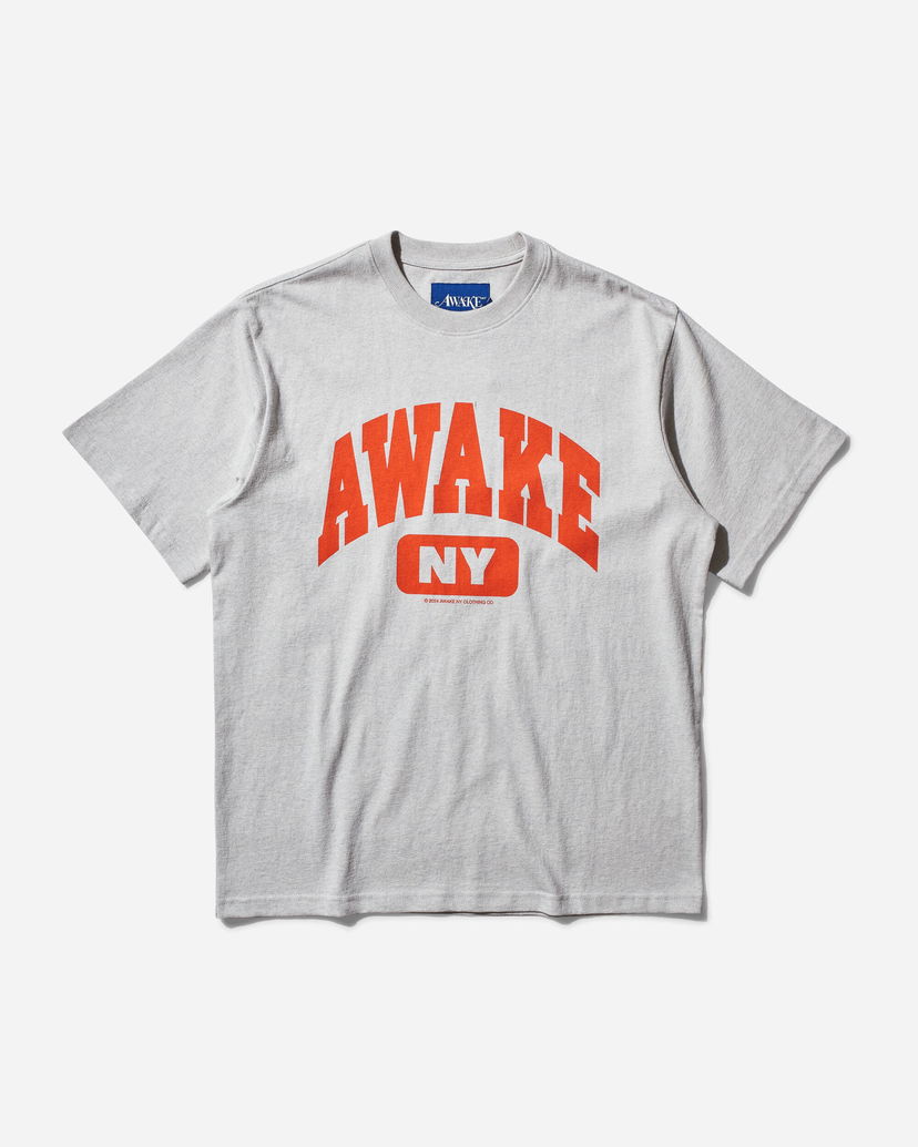 Тениска Awake NY Varsity T-Shirt Heather Сиво | AWK-FW24-TS308 CHHE