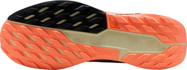 Кецове и обувки Nike Pegasus Trail 5 GORE-TEX Многоцветен | fq0908-011, 4
