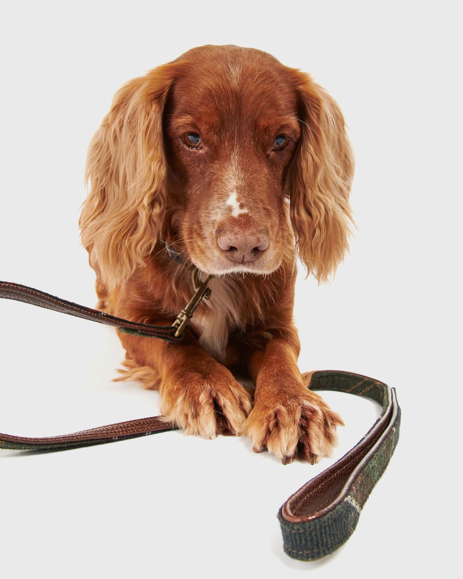 Аксесоари Barbour Classic Tartan Dog Lead Многоцветен | DAC0009TN11, 1