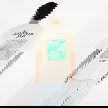 Тениска Nike ACG ACG Cactus Graphic Tee Бежово | HV1292-229, 2