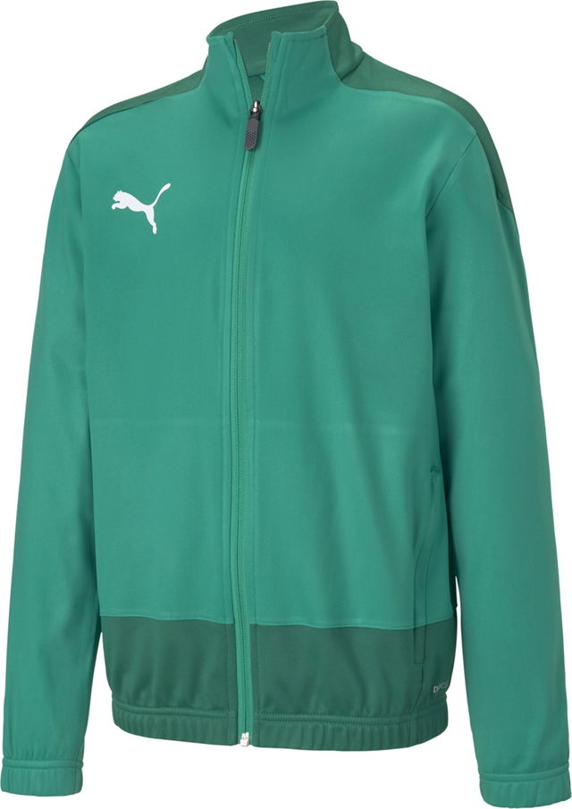 Puma teamGOAL 23 Training Jacket