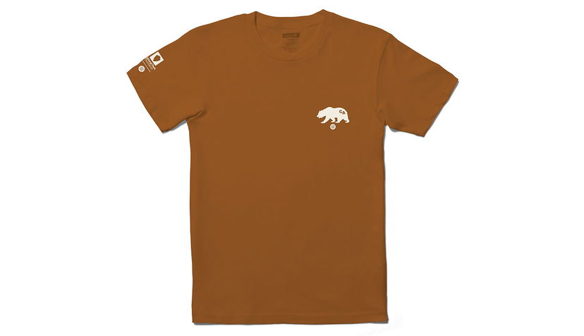 Тениска Stance National Park Yosemite Bear Graphic Short Sleeve T-Shirt Кафяво | A3SS1C25NA-SPI
