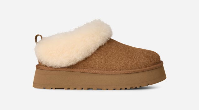 Tazzelle Slippers