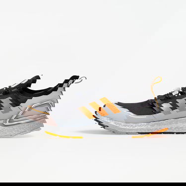 Кецове и обувки adidas Performance Ultraboost COLD.RDY Черно | FV8363, 0
